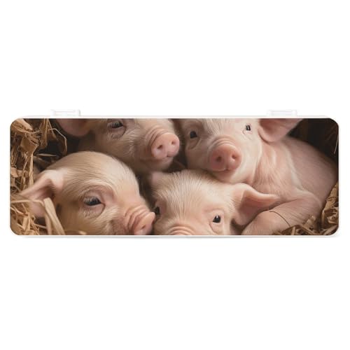 FZQVSGW Schreibwarenbox mit abnehmbarem Design, kreative minimalistische Aufbewahrungsbox, vier kleine Schweinchen, ABS, langlebiges Federmäppchen, 180 ° flach liegend, sicherer Schnappverschluss für von FZQVSGW