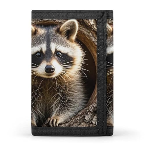 FZQVSGW Süßer Frosch dreifach gefaltete Geldbörse mit 8 Kartenfächern, Kreditkartenhalter, geteilte Geldscheinfach, Waschbär im Herbst Baumloch, Einheitsgröße, Modern von FZQVSGW