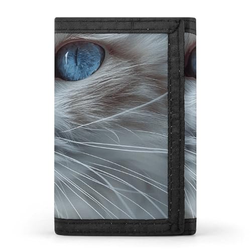 FZQVSGW Tropische Strandpalme, dreifach gefaltete Geldbörse, Münzgeldbörse mit 8 Kartenfächern, Kreditkartenhalter, geteilte Geldtasche, Blue Eyes Cat, Einheitsgröße, Modern von FZQVSGW