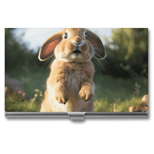 FZQVSGW Visitenkartenhalter Metall Slim Visitenkartenetui Tier Cartoon Elefant Pocket Kartenhalter für Frauen oder Männer Professionelle Geldbörse Namenskartenhalter Schnalle Stil Verschluss von FZQVSGW