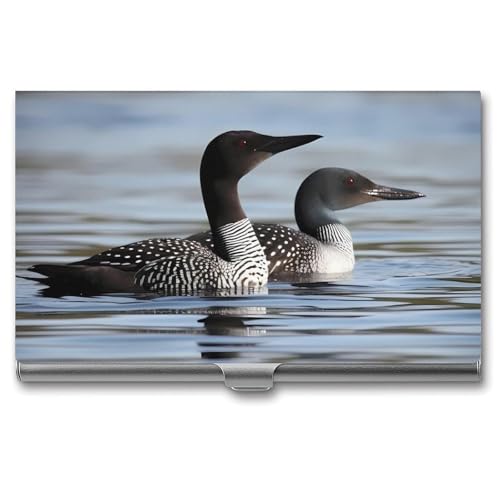 FZQVSGW Visitenkartenhalter Metall Slim Visitenkartenetui Wurst auf Feuer Tasche Kartenhalter für Frauen oder Männer Professionelle Geldbörse Namenskartenhalter Schnalle Stil Verschluss, Loon Birds von FZQVSGW