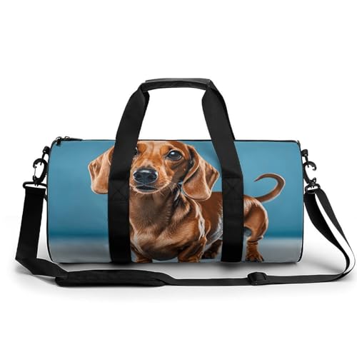 Sporttasche mit Hirschvögeln und Blumen, kleine Reisetasche mit Fach, Wochenendtasche für Damen und Herren, Dackel Weiner Pet Dog, 17.7in/9in/9in von FZQVSGW