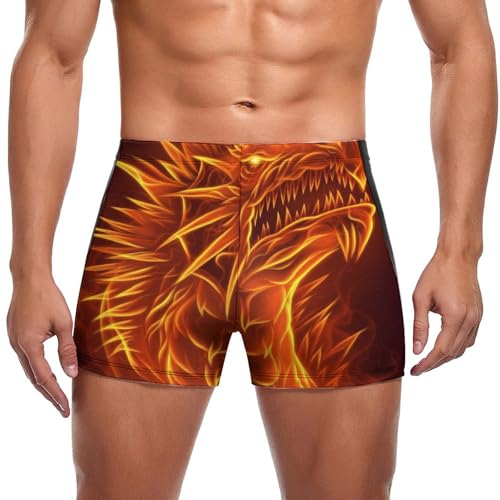 FZRTGOP Flammender Drache Herren Badehose Kurz Badeshorts Schwimmhose Bademode Badeslip Swim Briefs von FZRTGOP