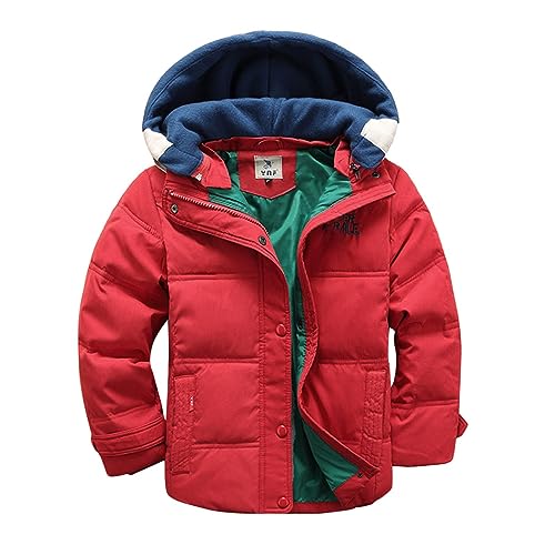 FaLkin Kinder Steppjacke Jungen Daunenjacke mit Abnehmbare Kapuze Langarm Verdicken Oberbekleidung Winddicht Warme Outdoorjacke Gepolsterte Outwear Reißverschluss Kapuzenjacke Winterjacke von FaLkin