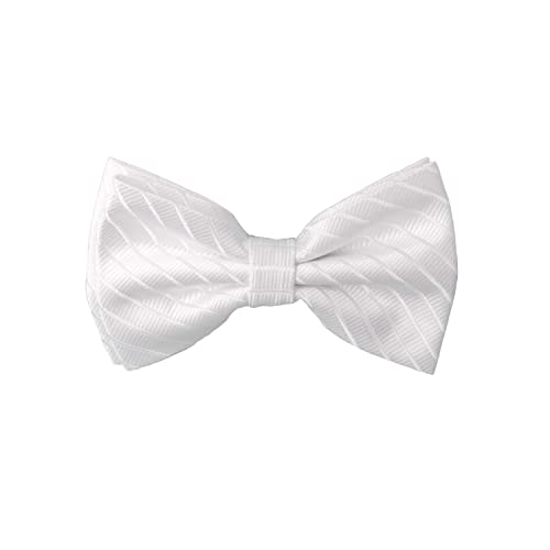 Fabio Farini - Fliege in Weiß, Blanc, One size von Fabio Farini