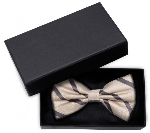 Fabio Farini - Herren Fliege Elegante gestreifte Querbinder für jeden Anlass wie Hochzeit, Konfirmation, Abschlussball Beige Anthrazit Gold von Fabio Farini