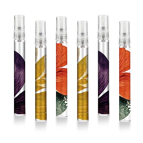 6 Stück tragbare nachfüllbare Parfümzerstäuberflaschen, 10ml Parfümzerstäuberflaschen, Duftsprayflaschen, uftpumpenbehälter für Frauen und Männer (10ml, amagic1) von Facewegen