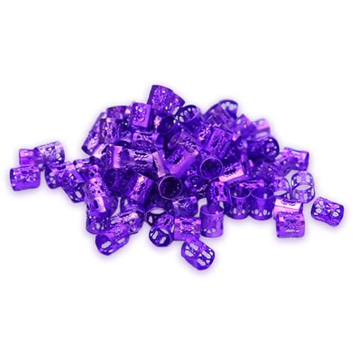 Wiederverwendbare Haarverlängerungsringe, Aluminium, Metall-Clips, Styling-Zubehör für Cosplay, Modenschauen und Festivals, 100 Stück von FackLOxc