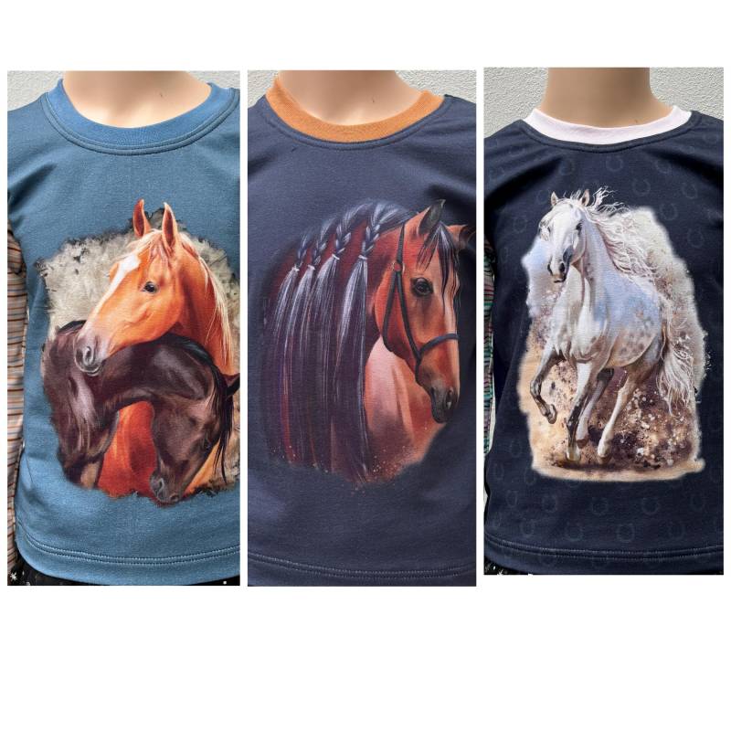 Langarmshirt Pferde Mit Ringelärmeln 3 Varianten Zur Auswahl von FadenzauberbyAntje