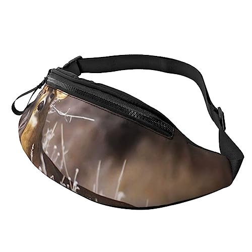 Hüfttasche mit tropischen Blättern, Bauchtasche mit verstellbarem Gürtel für Männer und Frauen, Sport, Laufen, Wandern, Joggen, Freies Hirsch, Einheitsgröße von Faduni