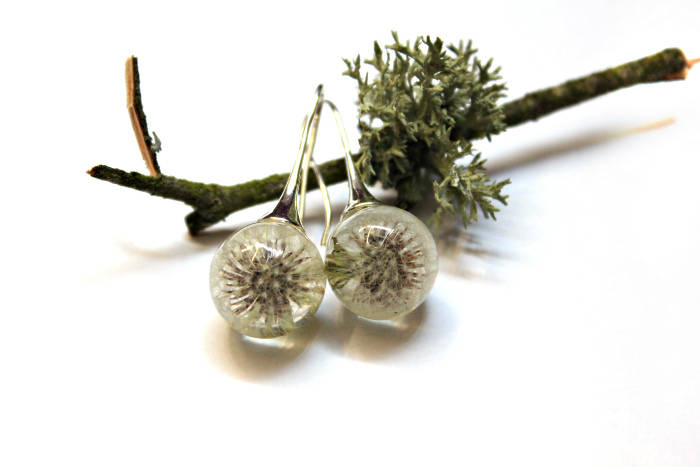 Ohrringe Mit Pustezahn, Ummantelt in Einem Kristallklaren Resin Ohrringe Mit Pustezahn, Ummantelt in Einem Kristallklaren Resin von FafirochkaStudio