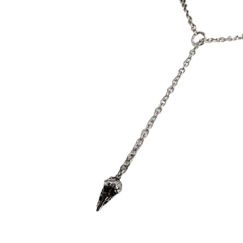 Fahoujs Einzigartige Gothic Crow Skull Kette Verstellbare Legierung Halskette Handgefertigtes Dunkles Ästhetisches Accessoire Für Männer Und Frauen Gothic Legierung Halskette von Fahoujs