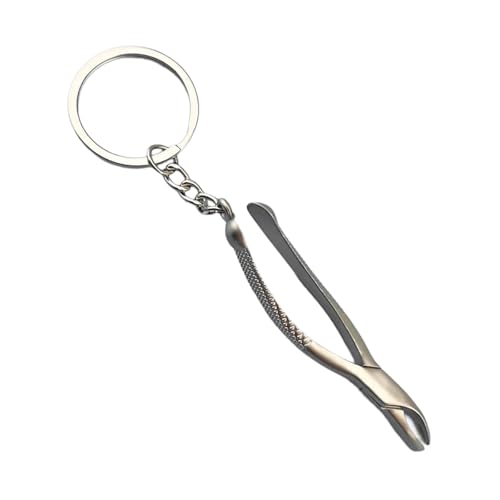 Fahoujs Tragbares Robuste Zineslegierung Zahnmodell Schlüsselbund Ideal Für Dentals Ausstellungen Und Befürworter Der Orals Health Advocates Täglicher Gebrauch von Fahoujs