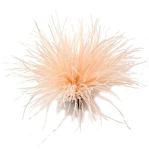 Feder Brosche Schal Clip Broschen Revers Stecknadel Kleidungszubehör Streuel Feder Corsage Pin Lapper Pins Brosche von Fahoujs
