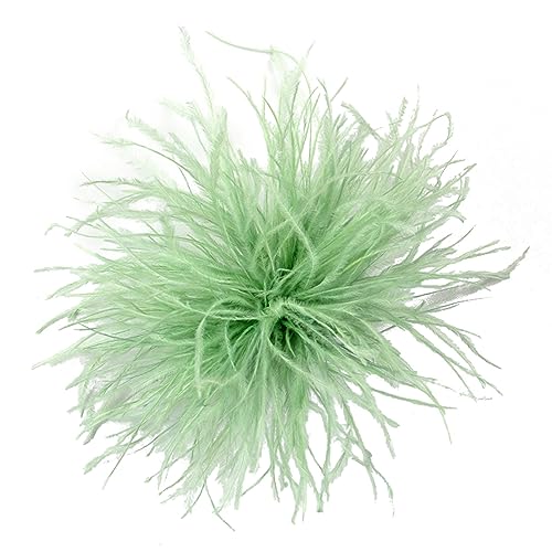 Feder Brosche Schal Clip Broschen Revers Stecknadel Kleidungszubehör Streuel Feder Corsage Pin Lapper Pins Brosche von Fahoujs