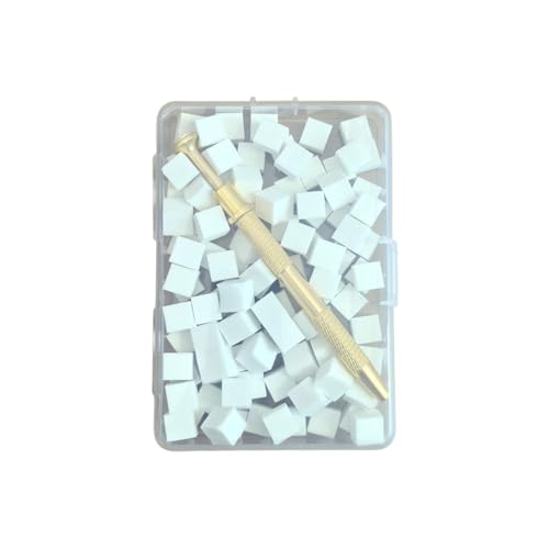 Omber Nails Pinsel Mit Greifen Stift Baumwollnägel Kunstdesigns Leichtgewichte Für Frauen Mädchen Weiß/farbenfrohe 100 Pieces von Fahoujs