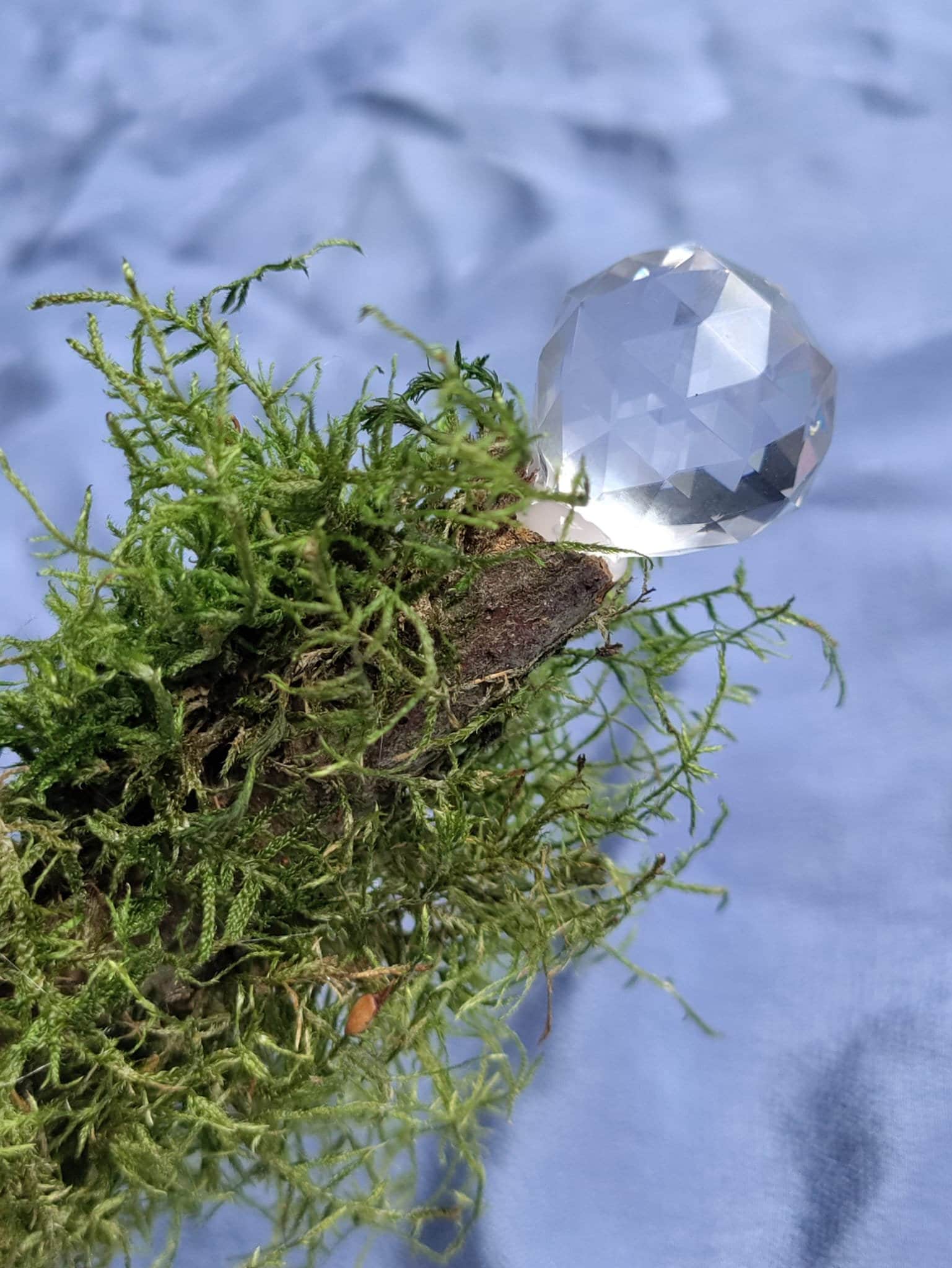 Zauberstab, Witchcraft, Feenstab, Ritual, Magic, Wichteltür, Elfe, Wald, Moos Zauberstab, Witchcraft, Feenstab, Ritual, Magic, Wichteltür, Elfe, Wald, Moos von FairyMoonDE