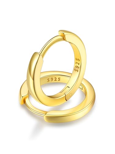 FaithHeart Ohrringe Silber Damen Ohrstecker Gold Huggies Creolen Mädchen Helix Piercing 10mm Klappcreolen Groß Silberohrringe Goldohrringe Ohrpiercing Silberschmuck für Tochter von FaithHeart