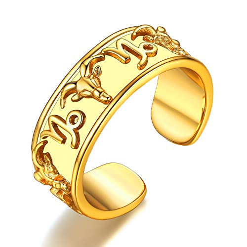 FaithHeart Vintag Fingerring Offener Sternzeichen Steinbock Ring Verstellbarer Ring mit Geschenkebox für Damen Herren von FaithHeart