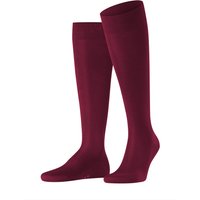 FALKE Kniestrümpfe Tiago aus Bio-Baumwolle und Stretch in 40 von Falke
