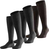 Kniestrümpfe - Teppich im Schuh Kniestrümpfe 2er 3er 4er Multipack von Falke