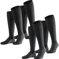 Kniestrümpfe - Teppich im Schuh Kniestrümpfe 2er 3er 4er Multipack von Falke