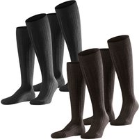 Kniestrümpfe - Teppich im Schuh Kniestrümpfe 2er 3er 4er Multipack von Falke