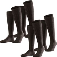 Kniestrümpfe - Teppich im Schuh Kniestrümpfe 2er 3er 4er Multipack von Falke