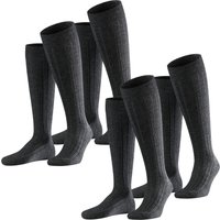 Kniestrümpfe - Teppich im Schuh Kniestrümpfe 2er 3er 4er Multipack von Falke