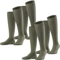 Kniestrümpfe - Teppich im Schuh Kniestrümpfe 2er 3er 4er Multipack von Falke