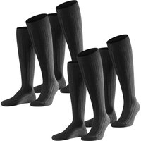Kniestrümpfe - Teppich im Schuh Kniestrümpfe 2er 3er 4er Multipack von Falke