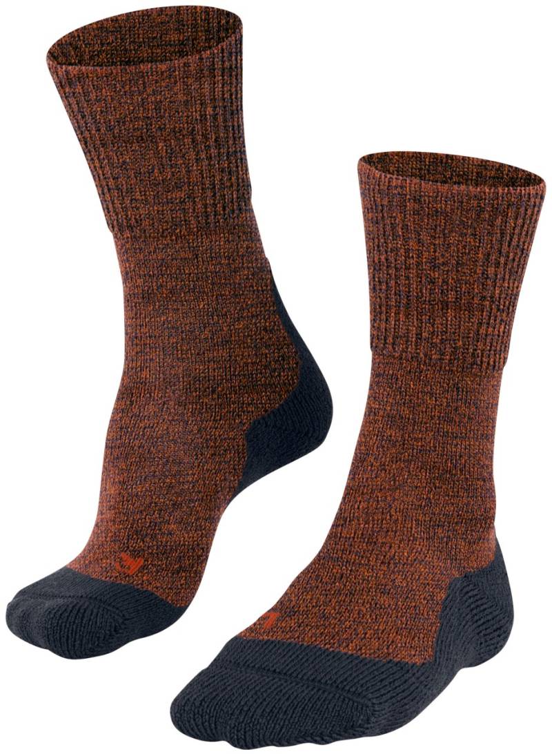 TK1 Wool Men von Falke