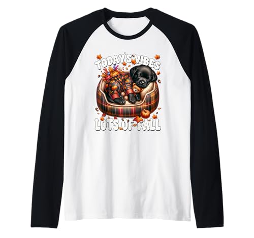 Fall Saying for Women with Black Labrador Retriever Puppy Raglan von Fall Labrador Gifts For Black Labrador Dog Lovers
