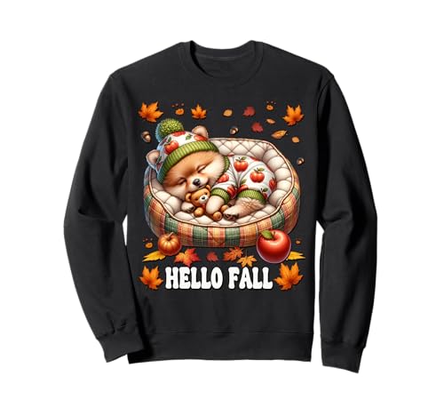 Hello Fall Pomeranian Themed Graphic for Women Cute Pom Mom Sweatshirt Hello Fall Pomeranian Themed Graphic for Women Cute Pom Mom Sweatshirt von Fall Puppy Pomeranian Gifts For Pomeranian Lovers