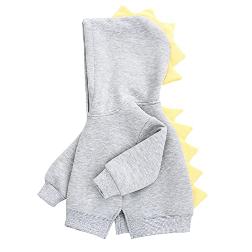 Famuka Baby Kapuzenpullover Kleinkinder Hoodie Jungen Mädchen Einfarbig Sweatshirt Pullover (12 Monate, 80, Grau) von Famuka