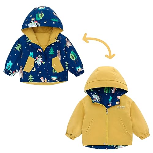 Famuka Wendejacke Baby Jungen Mädchen Jacke Kinder Übergangsjacke Windbreaker (Blau, 12M) von Famuka