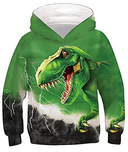 Fanient Jungen Mädchens Druckened Hoodie Realistische 3D-Dinosaurier-Muster Athletic Hooded Pullover Sweatshirt von Fanient