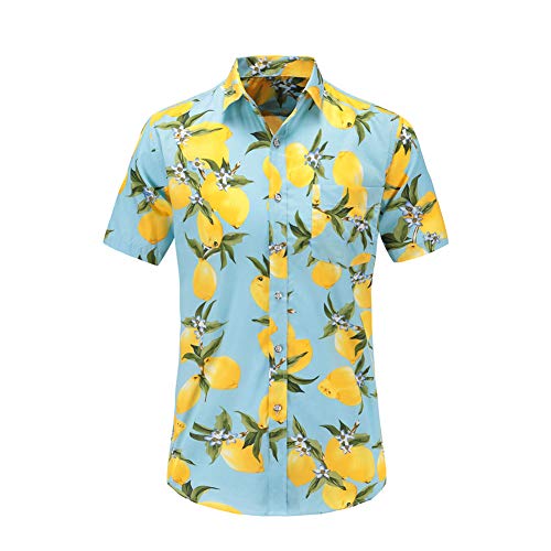 FANSU Herren Hawaiihemd, Herren Urlaub Hawaiihemd 3D Gedruckt Muster Kurzarm Strand Palmen Meer Freizeit Reise Party Hemd (Hellblaue Zitrone,L) von FANSU