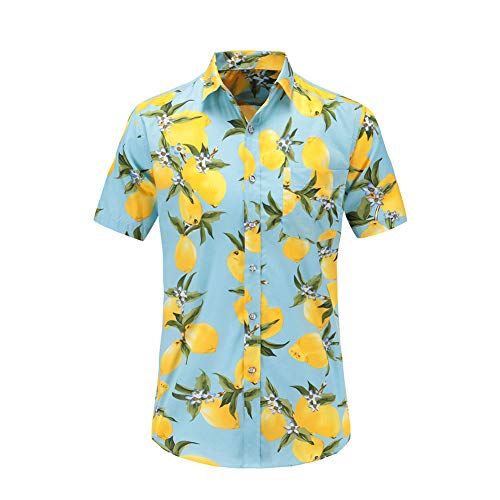 FANSU Herren Hawaiihemd, Herren Urlaub Hawaiihemd 3D Gedruckt Muster Kurzarm Strand Palmen Meer Freizeit Reise Party Hemd (Hellblaue Zitrone,XL) von FANSU