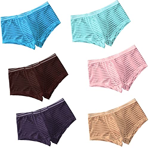 Faringoto Herren Mesh Transparent Höschen Niedrige Taille Dünne Atmungsaktive Unterwäsche, 6er-Pack, XL von Faringoto