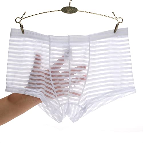 Faringoto Herren Mesh Transparent Höschen Niedrige Taille Dünne Atmungsaktive Unterwäsche, weiß, L von Faringoto