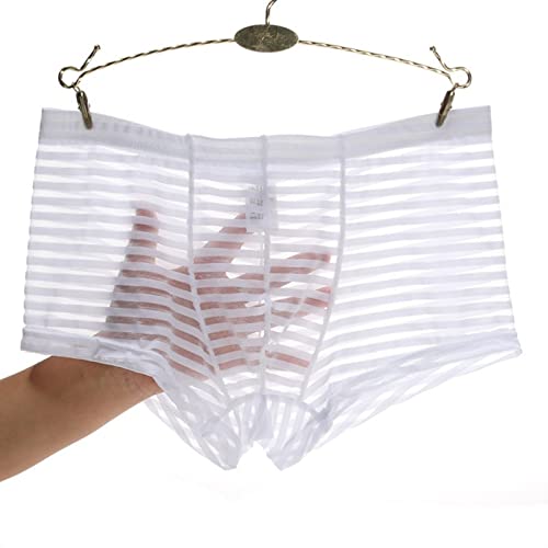 Faringoto Herren Mesh Transparent Höschen Niedrige Taille Dünne Atmungsaktive Unterwäsche, weiß, XL von Faringoto