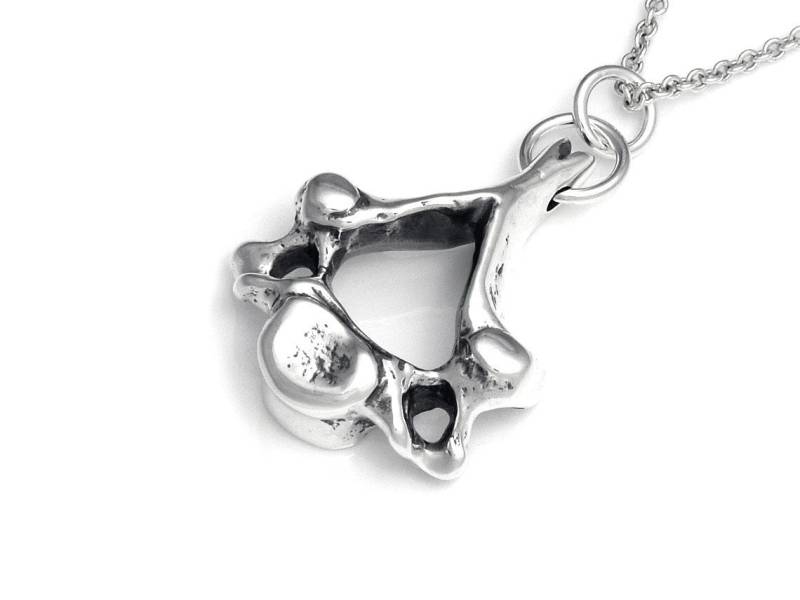 Halswirbel Halskette Aus Sterling Silber, Anatomie Anhänger Der Menschlichen Wirbelsäule von Farjil