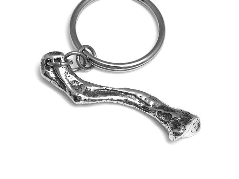 Menschliche Schlüsselbein Knochen Schlüsselbund, Skelett Anatomie Charme von Farjil