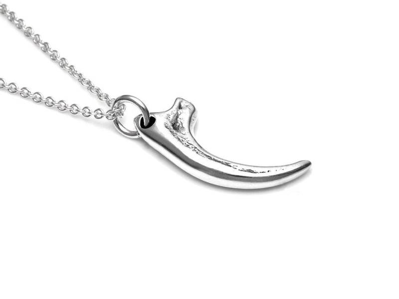 Velociraptor Klaue Charm Halskette, Sterling Silber Anhänger, Dinosaurier Schmuck von Farjil