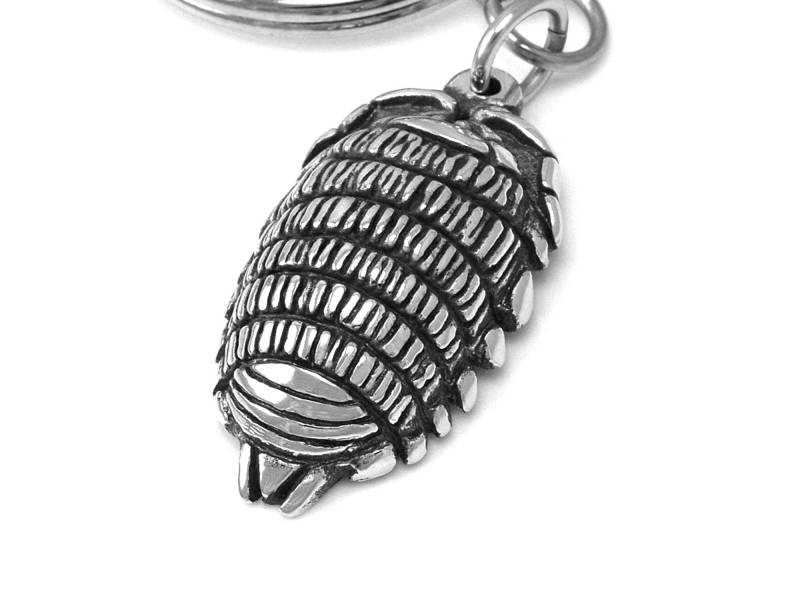 Woodlouse Schlüsselanhänger, Oniscidea Schlüsselanhänger in Zinn von Farjil