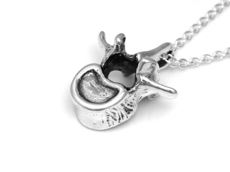 sterling Silber Lendenwirbel Anhänger Halskette, Anatomie Schmuck von Farjil