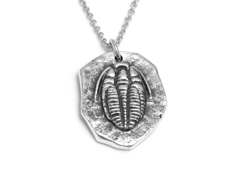 sterling Silber Trilobit Halskette, Geologie Schmuck, Fossil Charm von Farjil