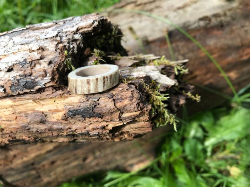 Natürlicher Hirschgeweihring Schlichtes Band Im Woodland-stil | Größe 14 cm Natürlicher Hirschgeweihring Schlichtes Band Im Woodland-stil | Größe 14 cm von FarmNaturals