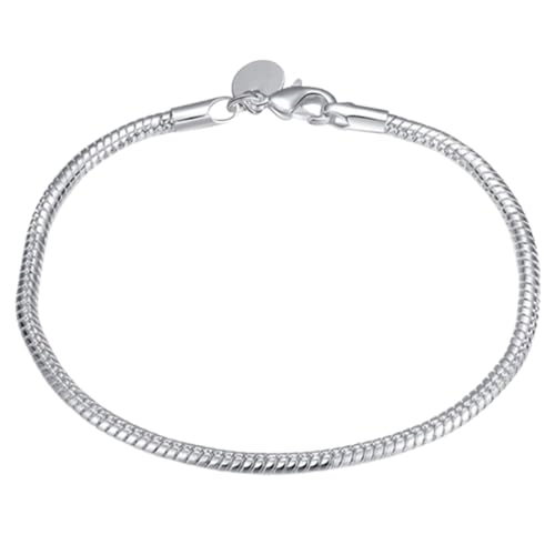 Fc'Noqgn Damenarmband Silber Karabinerverschluss DIY-Armband mit Charms Verstellbares Armband Charms Armband Schlangenkette Damenarmband Herrenarmband Silberarmband Schmuck Geschenk (Silber) von Fc'Noqgn